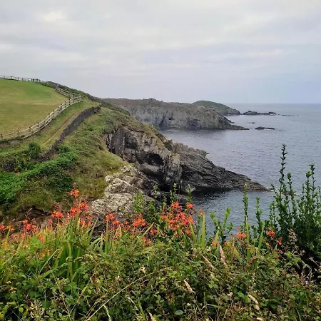 Ria De Apartment Navia