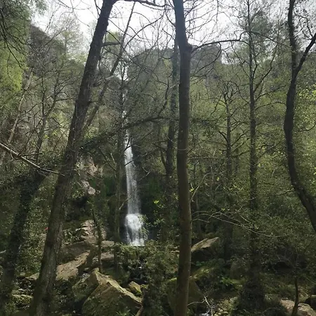 Ria De * Navia